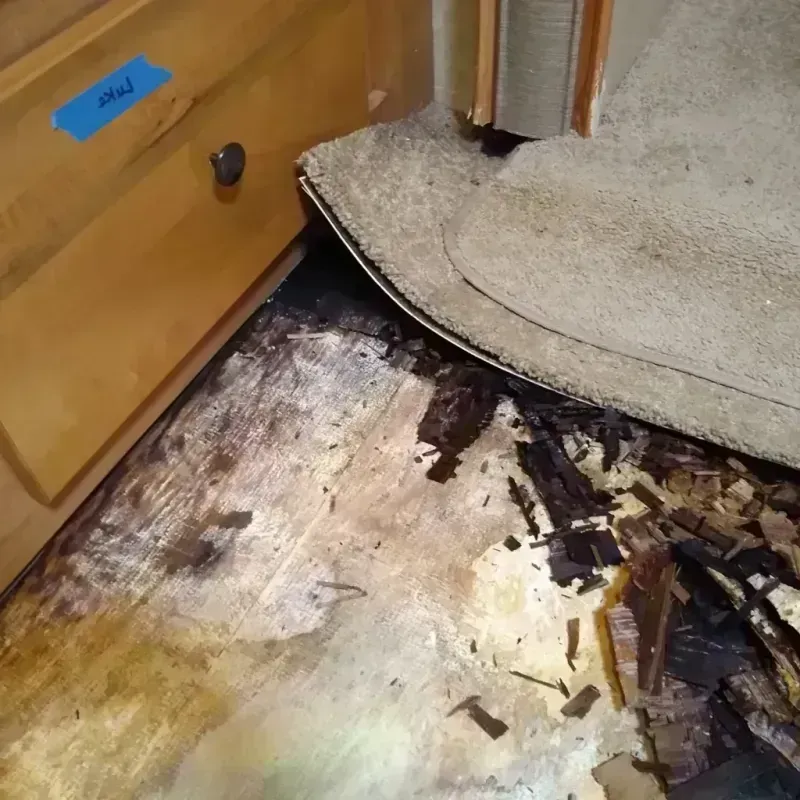 Best Wood Floor Water Damage Service in Custer County, MT